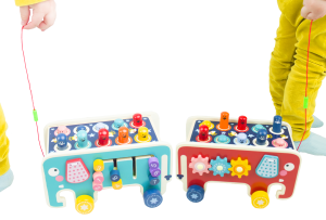 prowadzenie słoników na sznurku.png