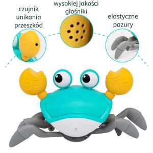 opis kraba.jpg