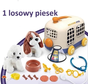 losowy piesek.jpg